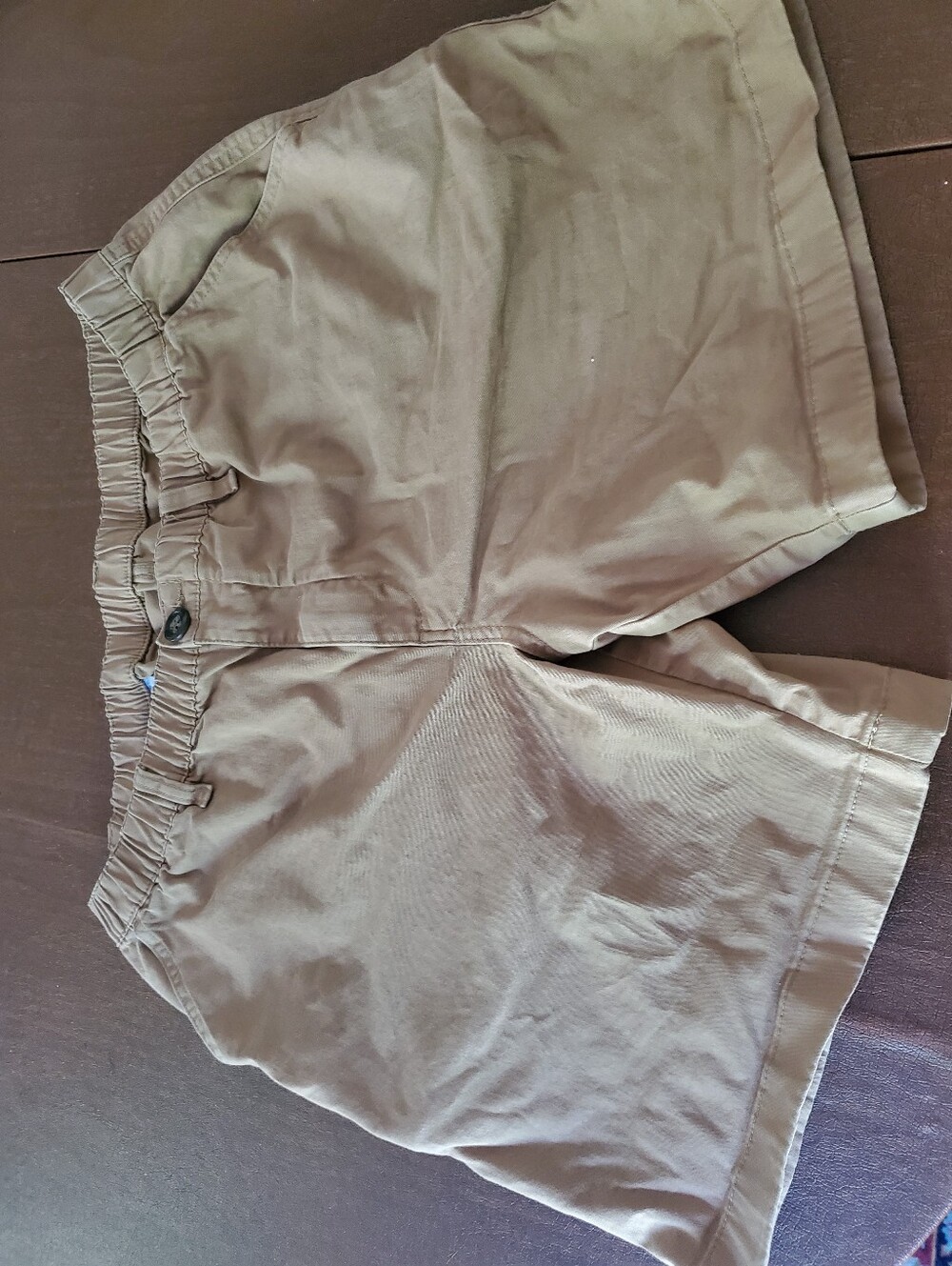 Chubbies Shorts